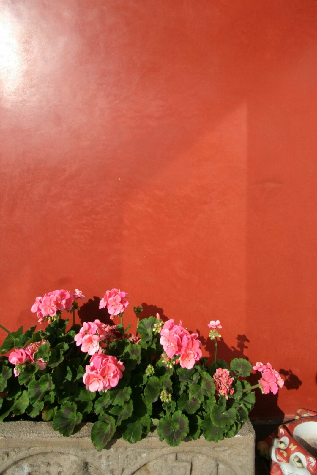 Lime Plaster tadelakt Pompeian red